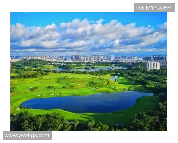 焦作足球球星成长之路与家乡力量共同谱写荣耀传奇